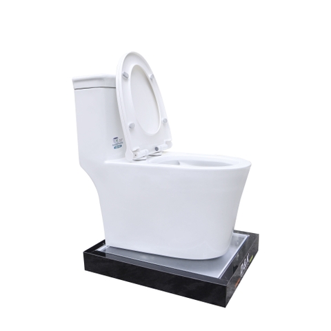 Bồn cầu 1 Khối DK C2406