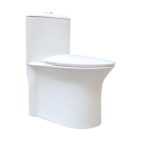 Bồn cầu 1 Khối DK C2410