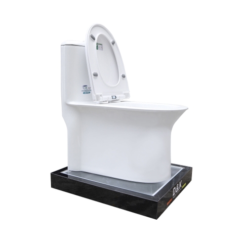 Bồn cầu 1 Khối DK C2410