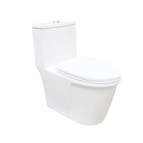 Bồn cầu 1 Khối DK C2419