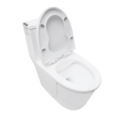 Bồn cầu 1 Khối DK C2419