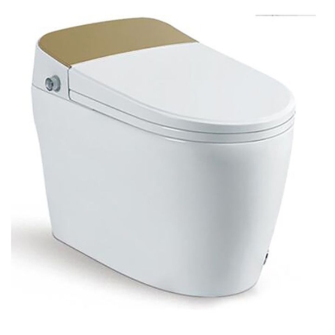 Bồn cầu 1 Khối DK AC1216