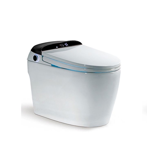 Bồn cầu 1 Khối DK AC1220