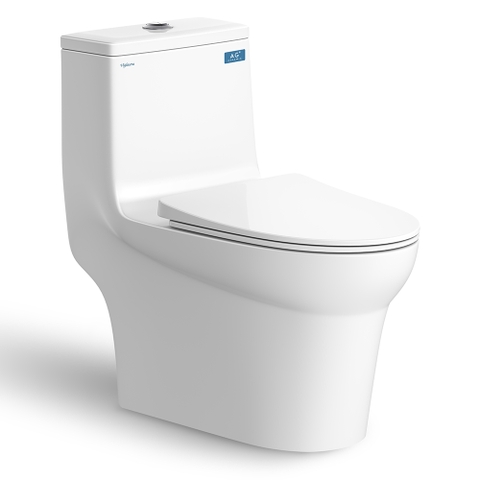 Bồn Cầu 1 Khối VIGLACERA V65 (Nano Titan, PK 2N, nắp êm) + Xịt VG826 + VG853