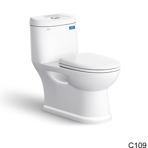 Bồn Cầu 1 Khối VIGLACERA C109 (Nano Titan, PK 2N, nắp êm V38M) + Xịt VG826