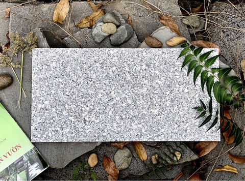 Trắng Suối Lau Khò