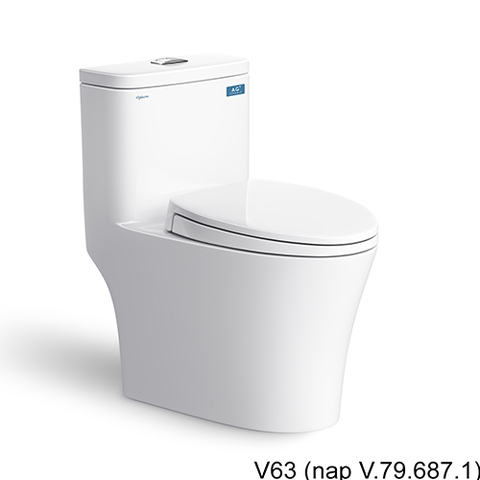 Bồn Cầu 1 Khối VIGLACERA V63 (Nano Titan, PK 2N, nắp êm V68) + Xịt VG826 + VG853