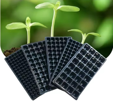 Khay nhựa ươm cây giống Nông nghiệp L4