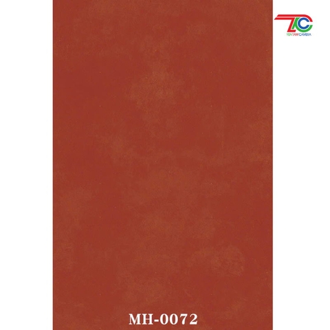 Phông canvas 0072 3x5m- phông nền studio