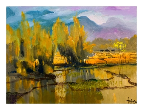 Nắng Trung Du