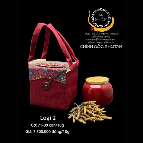 Đông trùng Bhutan loại 2