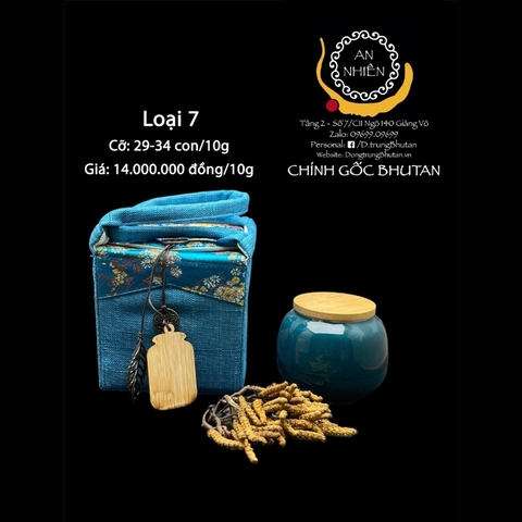 Đông trùng Bhutan loại 7