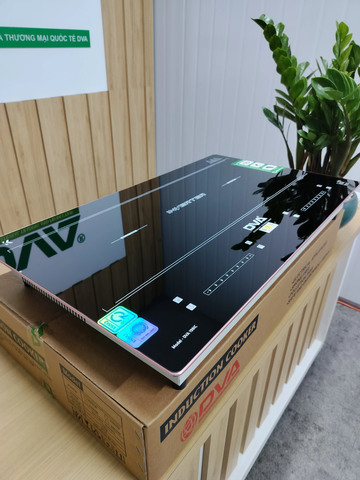 Bếp từ đôi DVA 198IC_Made in Việt Nam