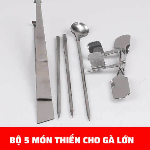 Dụng cụ thiến gà 5 món Dương Ninh bộ thiến gà chuyên nghiệp TG104