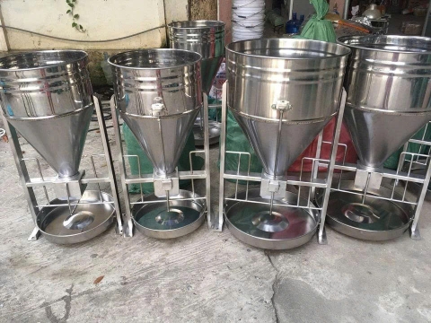 Máng Ăn Cho Heo: Giải Pháp Tối Ưu Chi Phí Và Hiệu Quả Chăn Nuôi