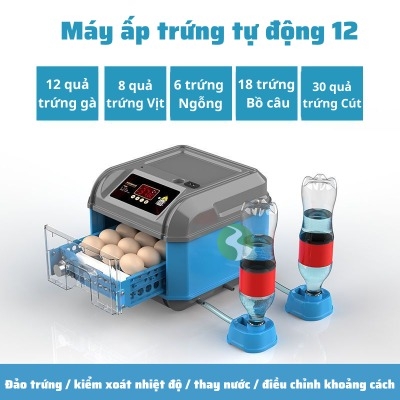 Máy ấp trứng gà mini tự động đảo trứng bơm nước MAT10