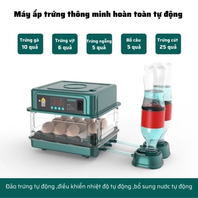 Máy ấp trứng gà mini tự động thông minh đảo trứng