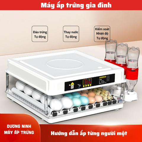 Máy ấp trứng mini ấp trứng gà tự động ấp trứng gia đình 220V VS 12V MAT