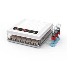 Máy ấp trứng gà mini tự động thông minh ấp trứng gà, chim, bò sát DN63