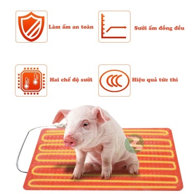 Tấm sưởi nhiệt cho heo DN02