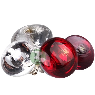 Bóng hồng ngoại úm gà,sưởi ấm gia súc 150W DN31