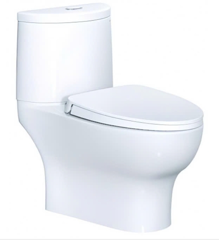 Bồn Cầu CAESAR CD1349 Thùng T1149 Nắp Êm
