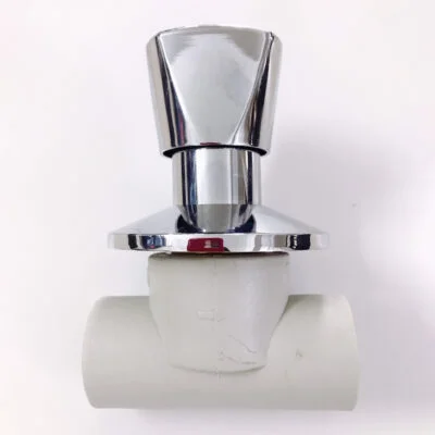 Van PPR Inox