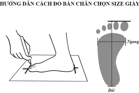 Hướng dẫn chọn size