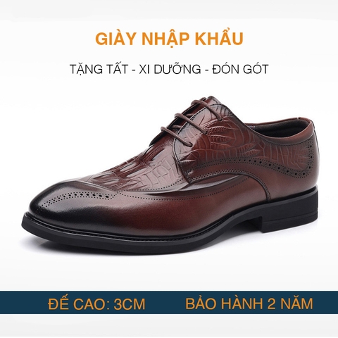 Giày Công Sở Da Bò Cao Cấp G62