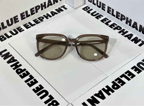 KÍNH HANI ash brown