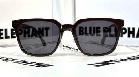 KÍNH GIANNA deep brown