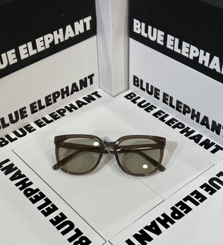 KÍNH HANI ash brown