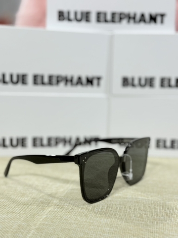 KÍNH BLUE ELEPHANT 1