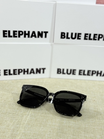 KÍNH BLUE ELEPHANT 1