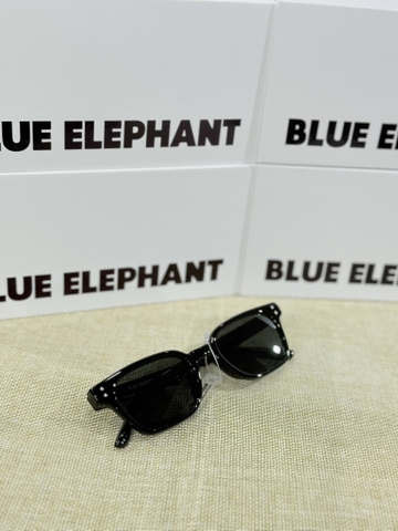 KÍNH BLUE ELEPHANT 1
