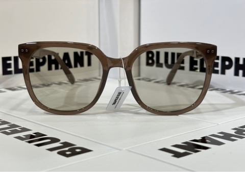 KÍNH HANI ash brown