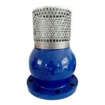 Rọ bơm (van hút) PN16