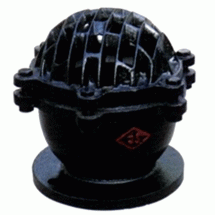 Rọ Bơm Mặt Bích Gang