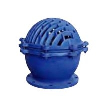 Van hút (rọ bơm)