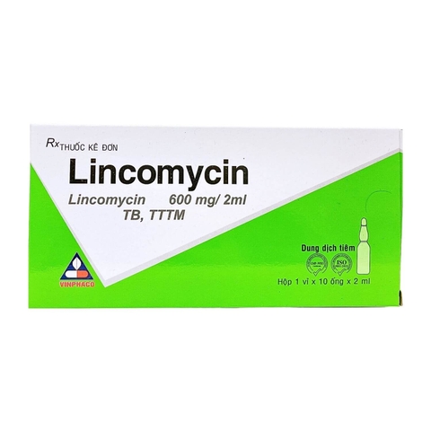 Lincomycin 600mg/2ml H10 ống tiêm Vĩnh Phúc