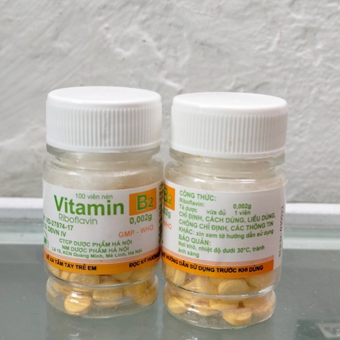 Vitamin B2 2mg/Lọ 100V HN