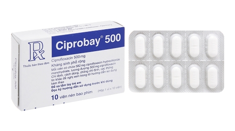 Ciprobay 500mg cipro H10v Đức