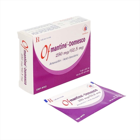 Ofmantine (amo 250+clavu) Domesco H10G
