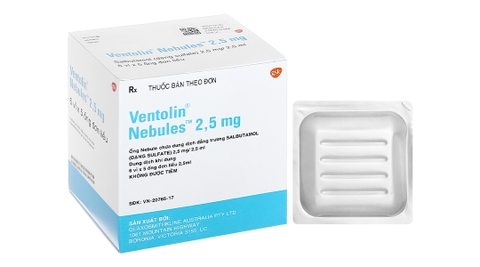 Ventolin 2,5mg  H6 Vỉ x 5 ống_úc