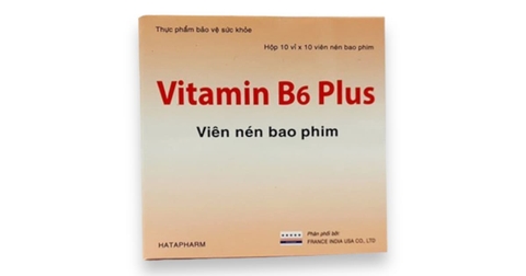 Vitamin B6 H100v Hà Tây