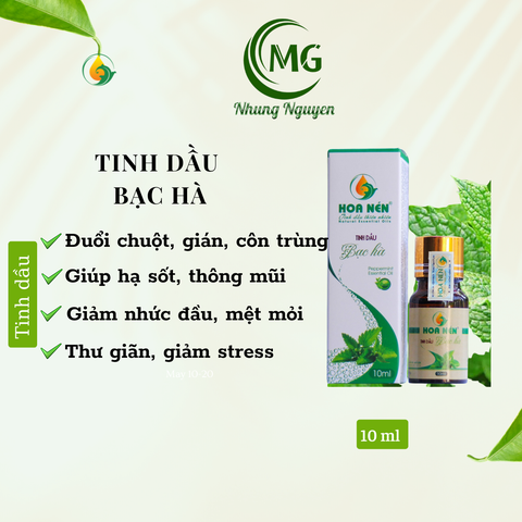 T Bạc hà 10