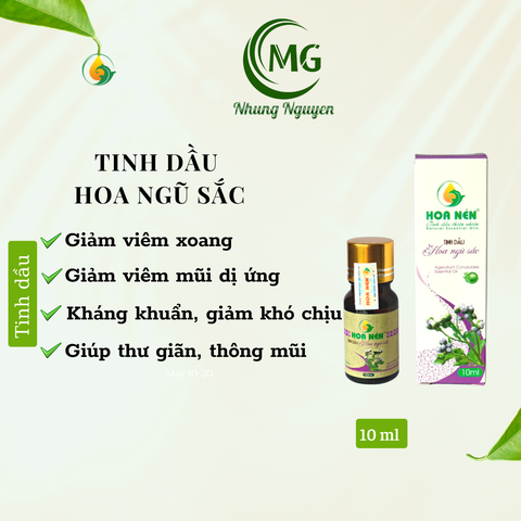 T hoa ngũ sắc 10