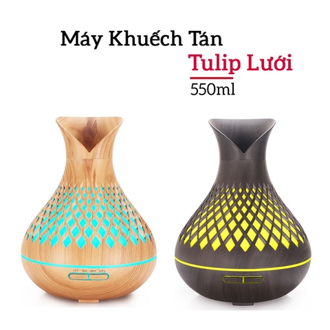 Tulip lưới