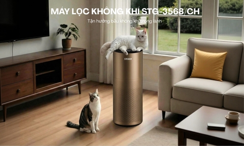 Máy Lọc Không khí Steiger STG3568/CH  màu nâu
