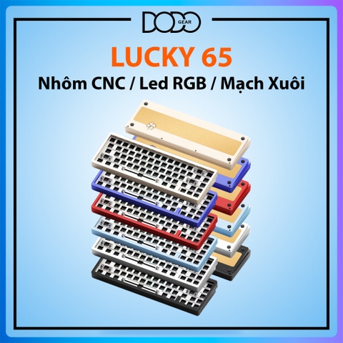 HƯỚNG DẪN LẮP RÁP (ASSEM) VÀ SỬ DỤNG LUCKY65